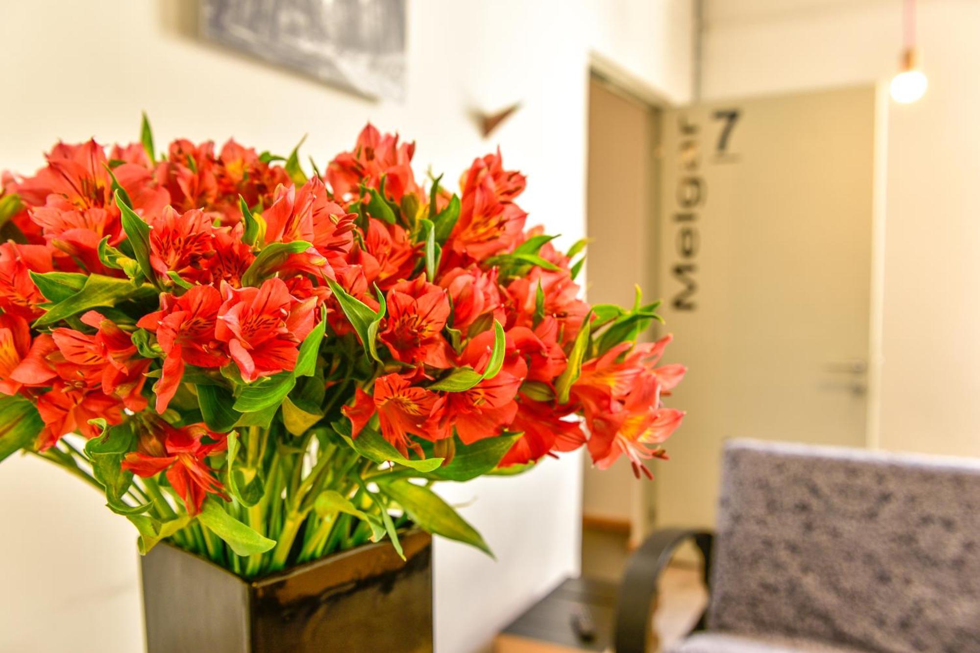 Casa Melgar Hotel Мексико Сити Екстериор снимка