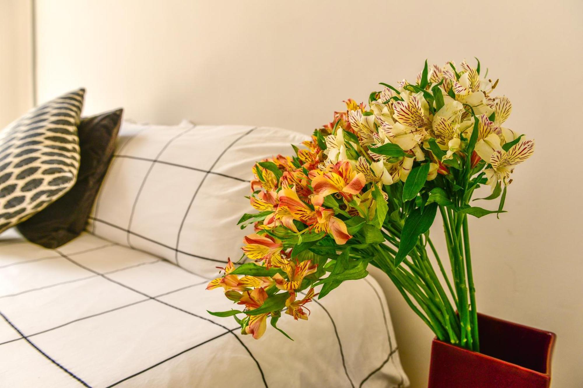 Casa Melgar Hotel Мексико Сити Екстериор снимка